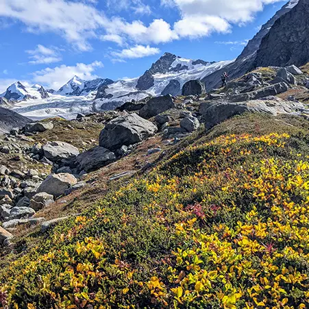 Fan Glacier Basecamp Hiking - Hike the Chugach Mountains