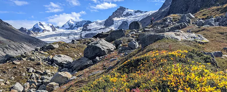 Fan Glacier Basecamp Hiking trip