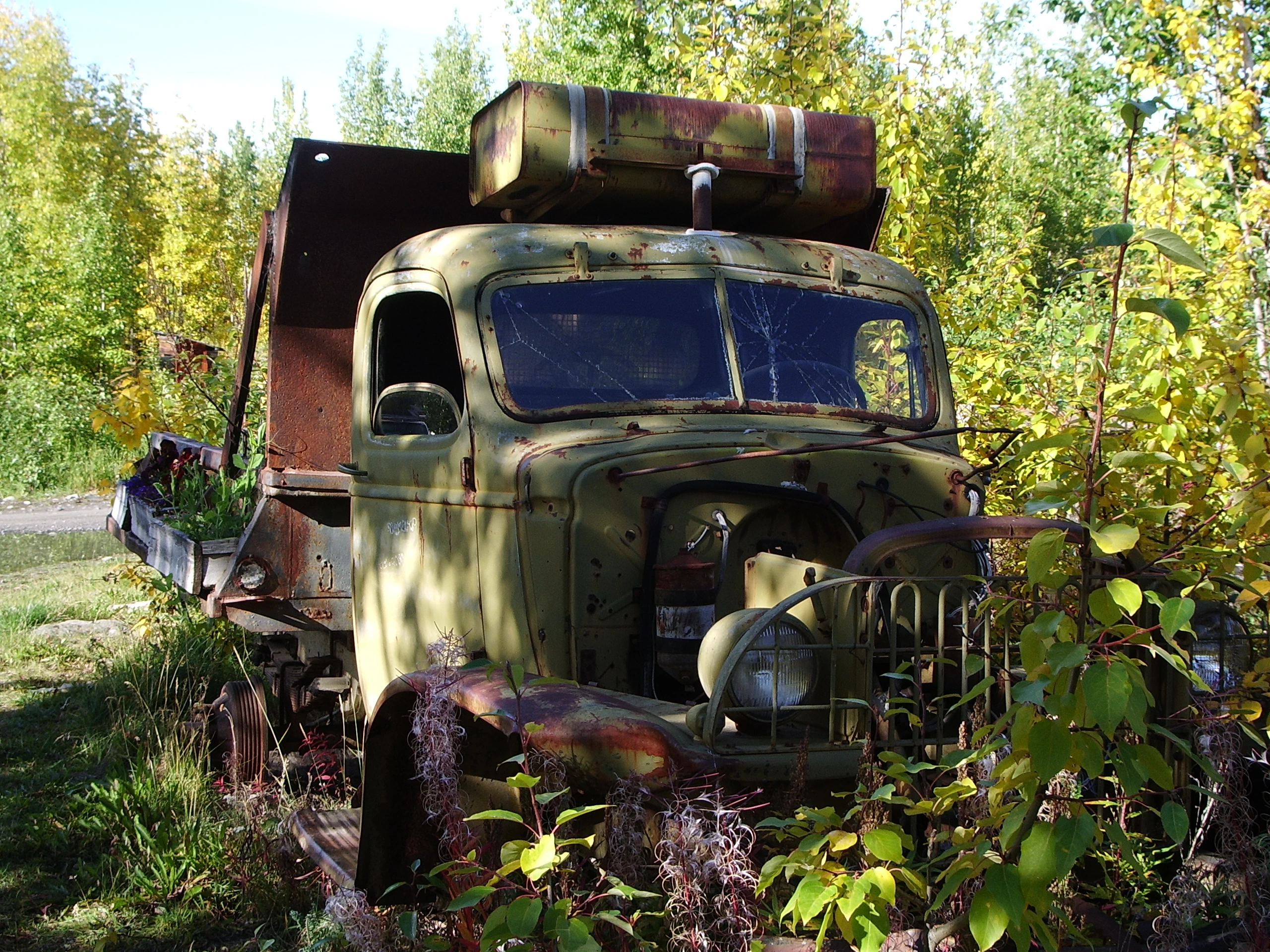 McCarthy charm - an old vehicle in overgrown bushes