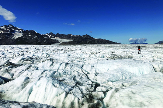 Bergs to Beaches Gallery 7