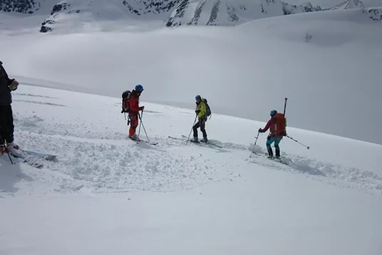Three backcountry skiers look up from a wide open slope