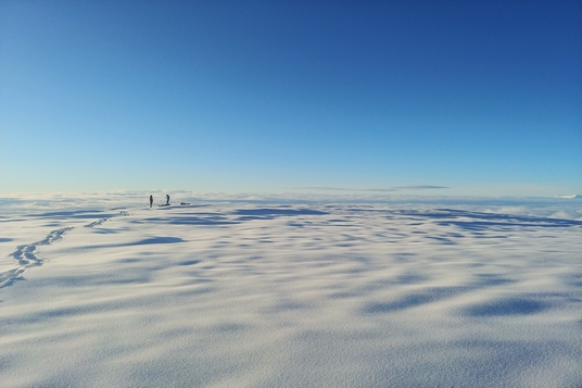 Sanford Gallery 5