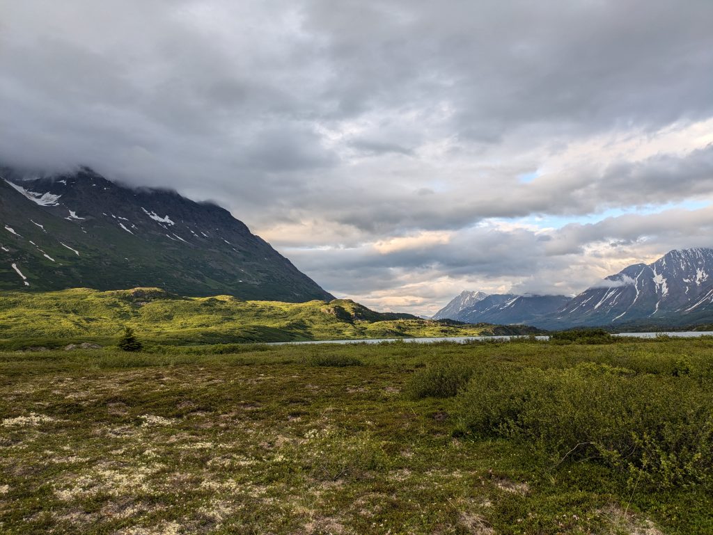 PXL_20240708_043646871