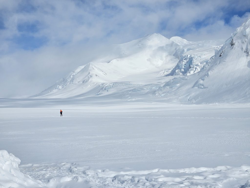 A tiny mountaineer on a snowy glacier dwarfed by the face of Mount Bear in Wrangell - St. Elias National Parkl