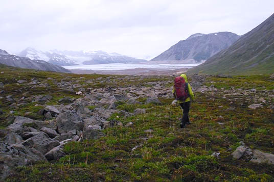 A backpacker moves through grassy tundra toward a glacier