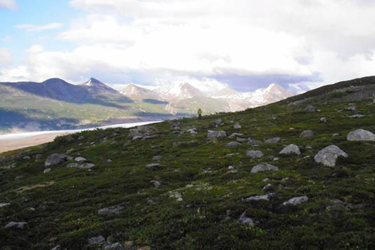 A person walking through the Alaskan tundra