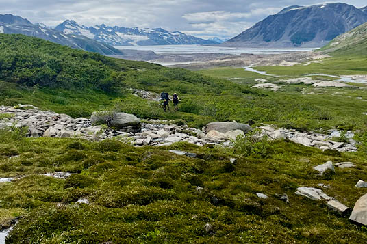 Several backpackers trek through the tundra of Wrangell - St. Elias
