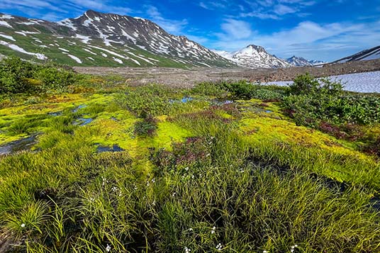 The pristine backcountry of Wrangell - St. Elias National Park