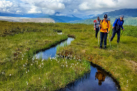 Hikers walk in the grass near a clear stream