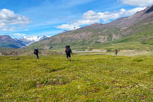 Three backpackers walk through a flat tundra valley