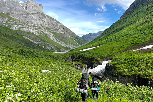 Backpackers move through green terrain through the mountains