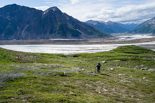 A backpacker heads uphill on the tundra with a glacier and mountain in the background