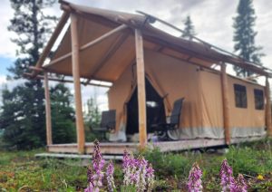 Camp McCarthy glamping tent